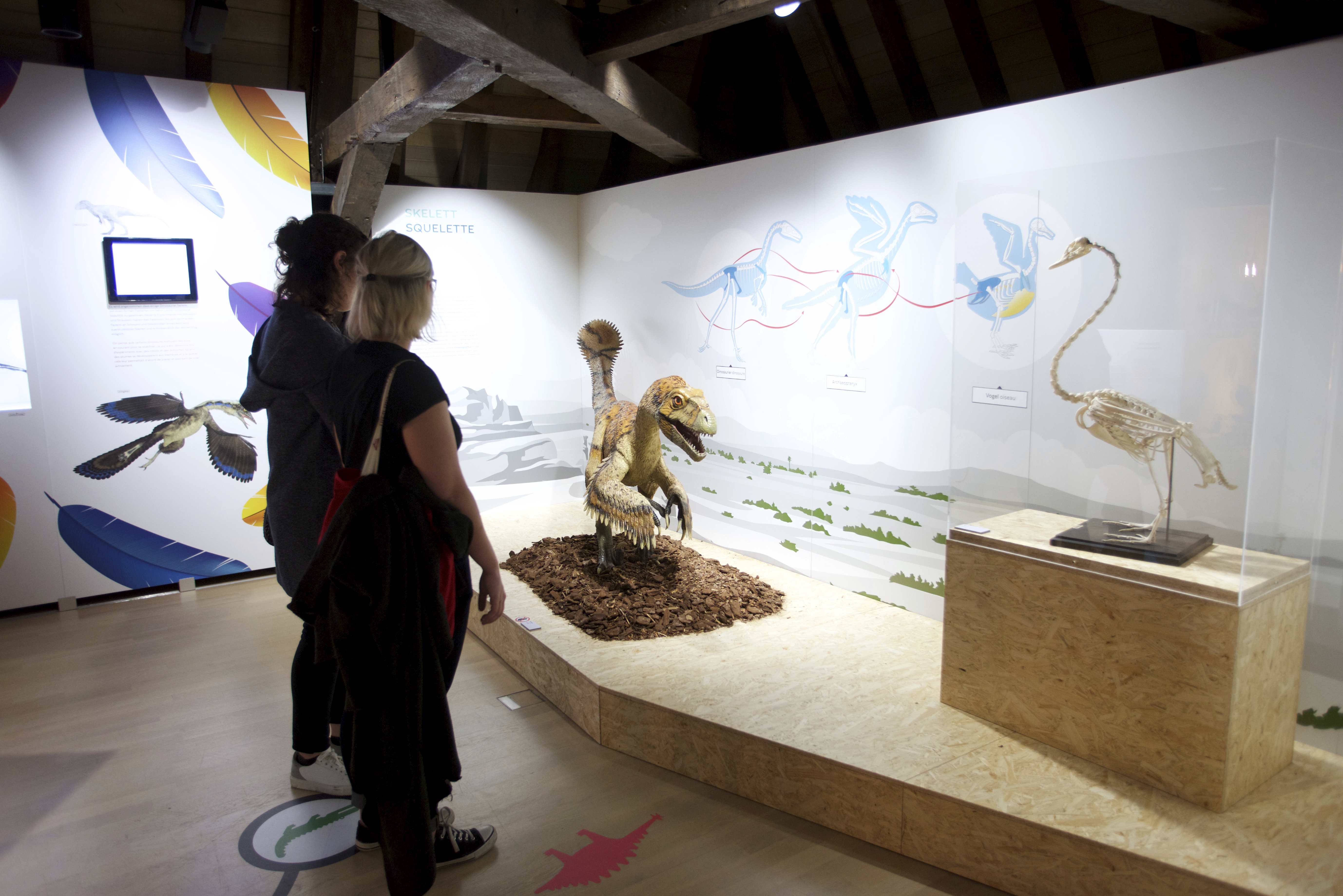 12102019, Luxembourg, Musée national d’histoire naturelle – ‘natur musée’, 25 Rue Münster, La Nuit des Musées, © Editpress/Fabrizio Pizzolante