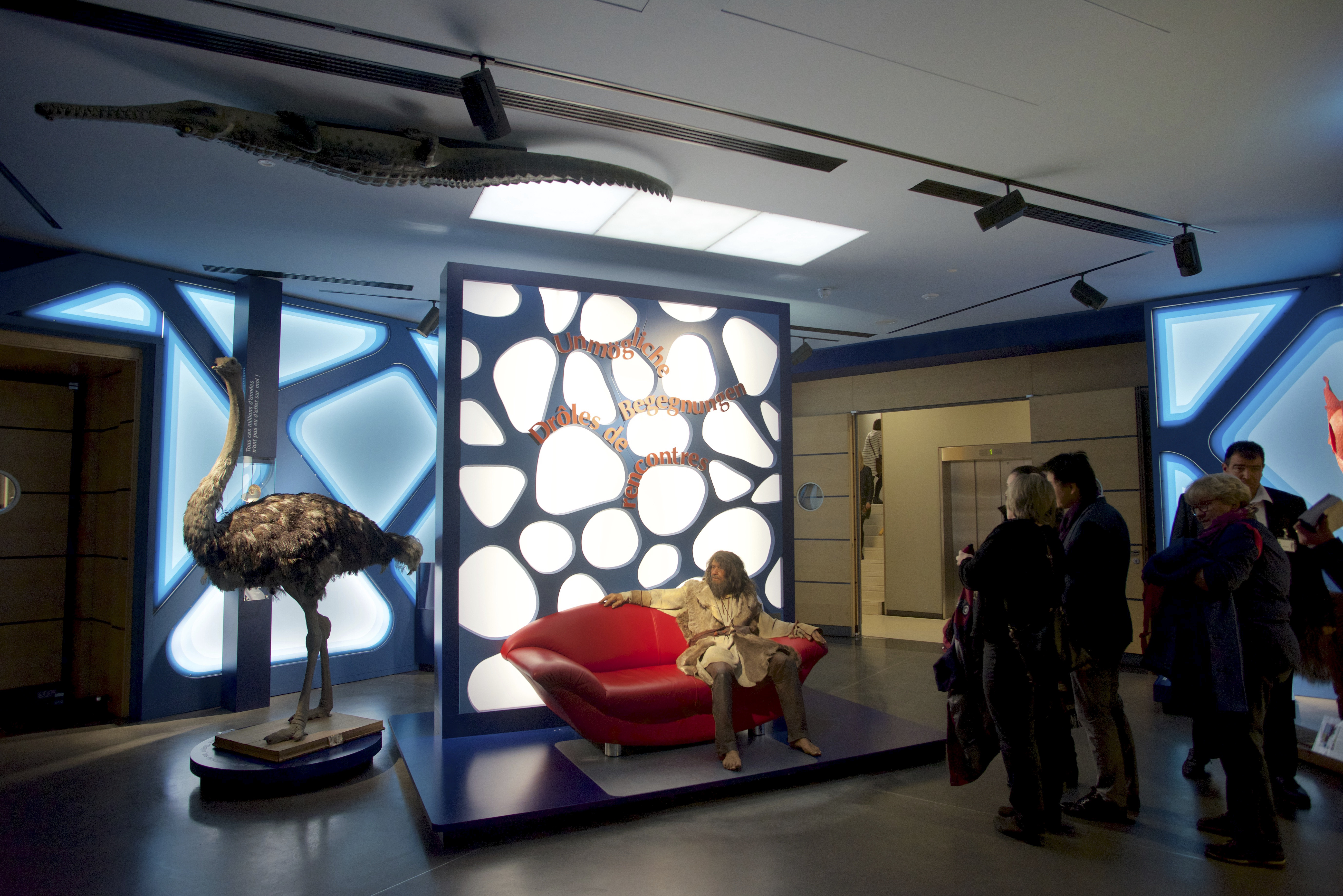 12102019, Luxembourg, Musée national d’histoire naturelle – ‘natur musée’, 25 Rue Münster, La Nuit des Musées, © Editpress/Fabrizio Pizzolante