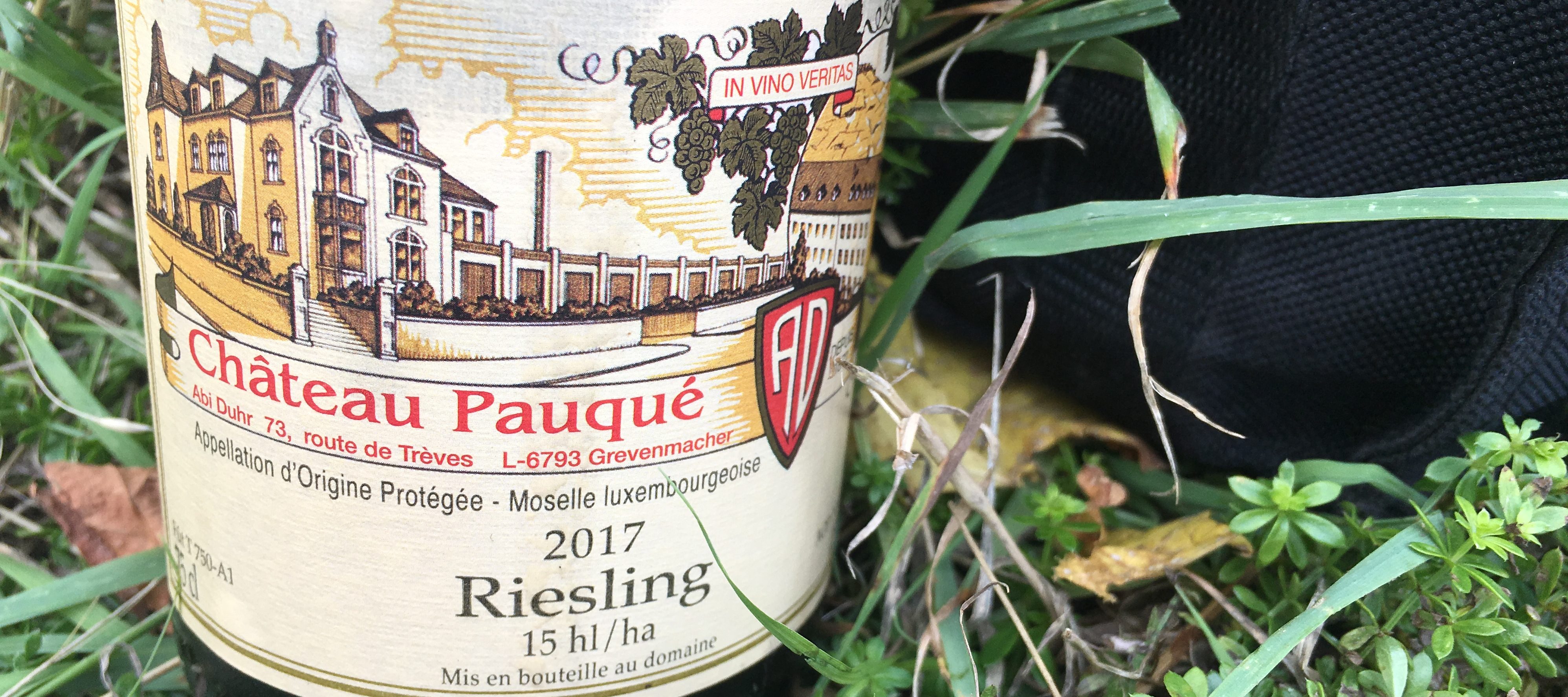 Balance, Beeren und der Mogli-Gang: Weinlese bei Abi Duhr