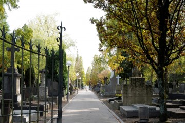 Stille im „Tiergarten“ – Die schützenswerte Vergangenheit auf dem Escher St.-Joseph-Friedhof