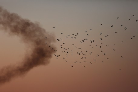 Terrorismus / Weiterer Dschihadist aus Luxemburg ist vermutlich 2013 in Syrien gestorben