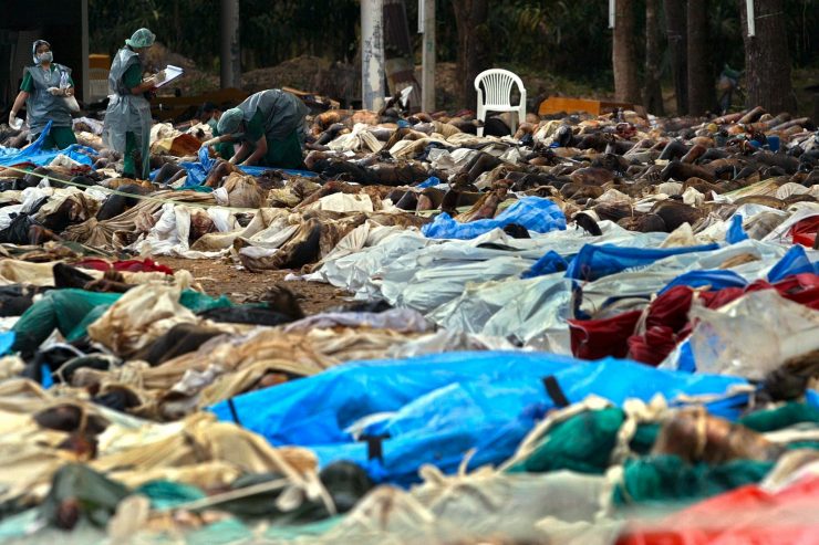 15 Jahre Tsunami im Indischen Ozean / „Ich dachte, dass kein Mensch überlebt hat“