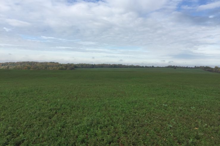 Grenzüberschreitendes Projekt / Differdingen kauft 120 Hektar in Frankreich