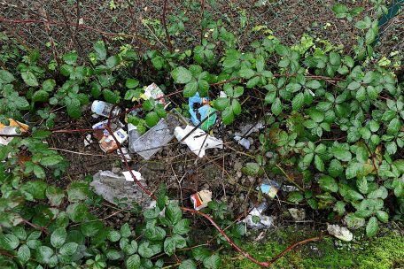 Die Hecke entlang des Parkplatzes neben dem Friedhof gleicht einer M&uuml;llhalde