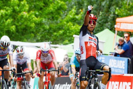 Tour Down Under / Caleb Ewan gewinnt den Sprint der zweiten Etappe