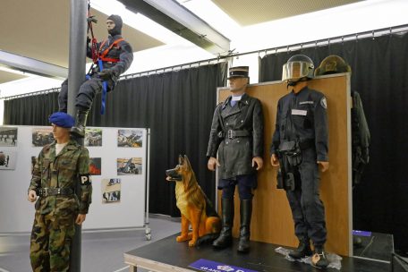 Die Hundestaffel setzt sich aus deutschen Schäferhunden und Malinois zusammen