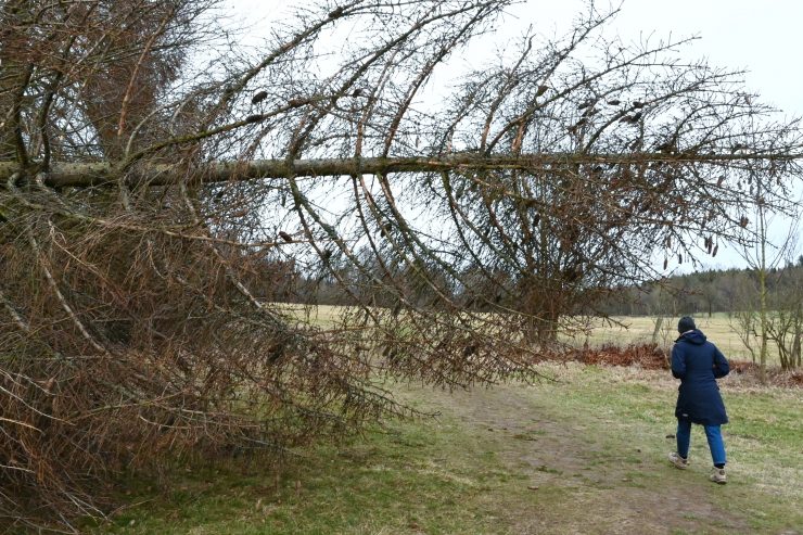 Wetter / Kleinere Schäden durch Sturm Victoria