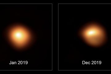 Astronomie / Der Stern Beteigeuze wird wieder heller