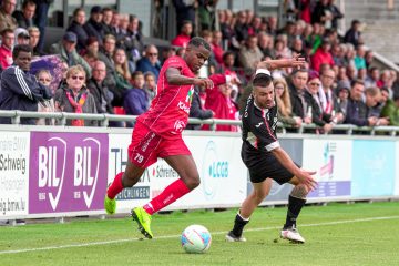 Ehrenpromotion / Alle jagen Hesperingen