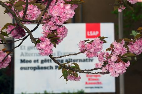 Editorial / „Kordall-Connection“: Die LSAP zwischen Regierung und Bedeutungslosigkeit