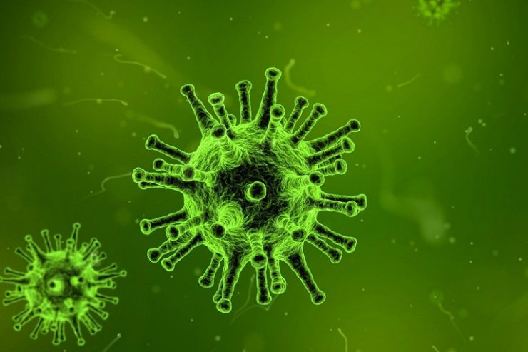 Coronavirus / 59 Infizierte in Luxemburg – Mehrere staatliche Behörden schränken Dienst ein