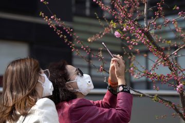 Corona / Wie Entwickler das Virus mit einer App aufspüren wollen