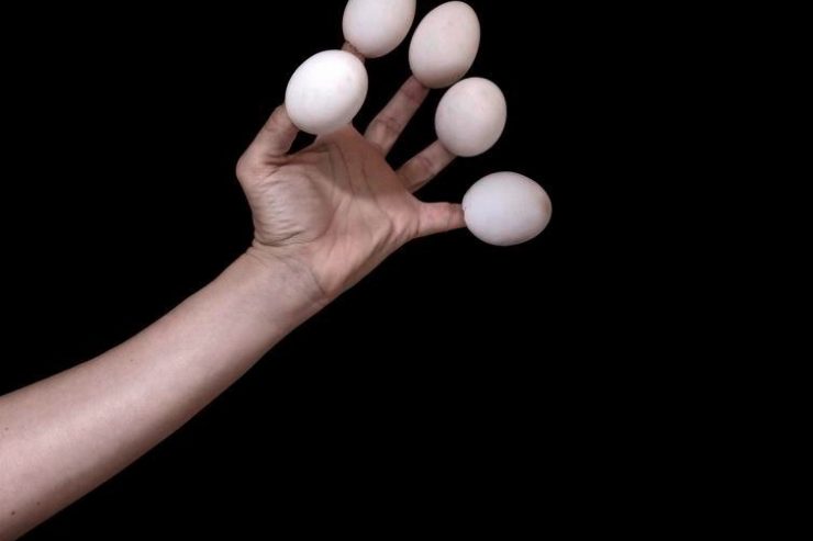 Exposition-enquête / Justine Blau: Sur les pas de Charles Darwin