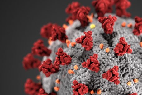 Corona-Pandemie / Luxemburg will 1.500 Menschen per Stichprobe testen