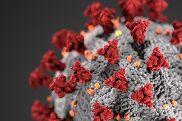 Corona-Pandemie / Luxemburg will 1.500 Menschen per Stichprobe testen