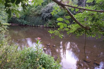 Umwelt / Wasser der Korn über das Becken der Industriezone „Gadderscheier“ stark verschmutzt