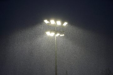 Gesetzeslage / Was Jurist Marc Theisen den Sportverbänden rät