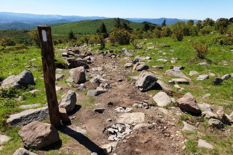 Ein wei&szlig;er Strich begleitet die Wanderer auf ihrem Weg nicht nur durch die Grayson Highlands in Virginia. Der &bdquo;white blaze&ldquo; ist ein st&auml;ndiger Begleiter bis nach Maine.
