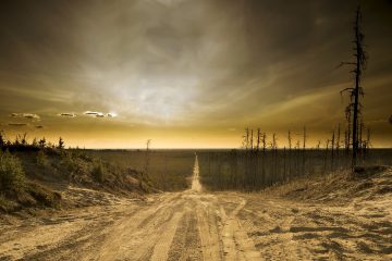 Penser la crise avec la littérature / Le langage de la fin, la fin du langage: comment exprimer la fin du monde? 