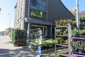 Erste Exit-Phase / In Düdelingen können wieder Blumen vor Ort gekauft werden