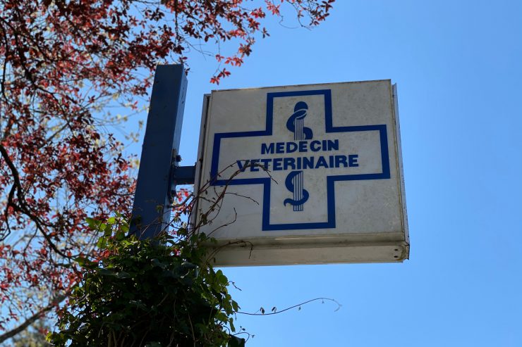 Coronavirus / Tierärzte behandeln nur noch Notfälle – und Impfungen gehören nicht dazu