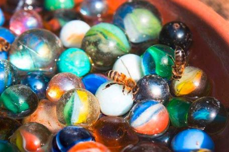 Die Bienentränke hilft den kleinen Flugtieren, bei warmem Wetter ihren Durst zu löschen