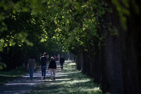Spaziergänge sind natürlich weiterhin erlaubt. Allerdings fragen sich viele Bürger, wohin sie fahren dürfen, um einige Stunden in der frischen Luft verbringen zu können.