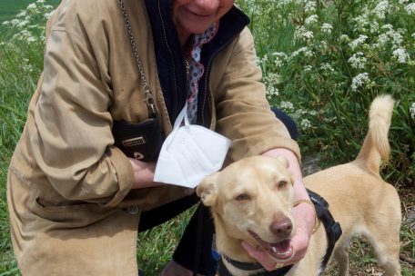 Bei der Vermittlung achten die Mitarbeiter des Tierheims darauf, dass Hund und Besitzer sich im wahrsten Sinne des Wortes auch riechen können