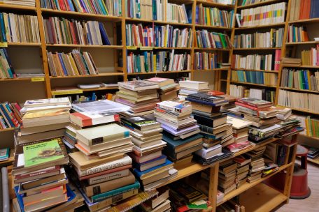 Schülerartikel / Das Recht auf Meinungsäußerung im Literaturmilieu