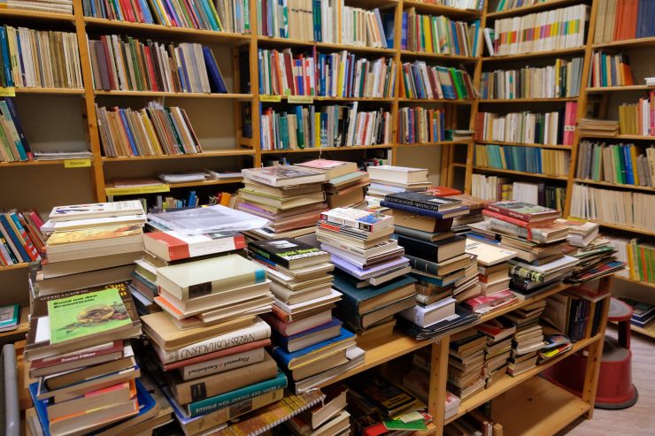 Schülerartikel / Das Recht auf Meinungsäußerung im Literaturmilieu