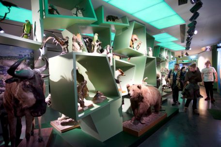 Le &bdquo;natur mus&eacute;e&ldquo; veut offrir &agrave; ses visiteurs un air de &bdquo;Stuff doheem&ldquo;