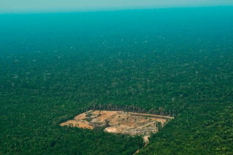 Eine abgeholzte Waldfläche im westlichen Amazonas-Gebiet in Brasilien. Die Forscher warnen: Bevor riesige Waldflächen aufgeforstet werden, muss der Regenwald davor geschützt werden, weiterhin als Wachstumsfläche für Europas Nahrungsmittelbedarf zu dienen.  