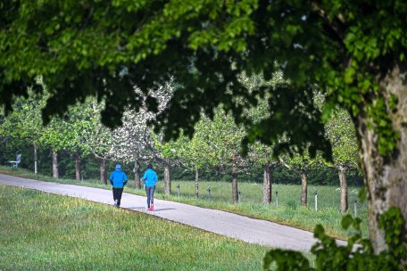 Gesundheit  / Wie man trotz einer Allergie Sport treiben kann