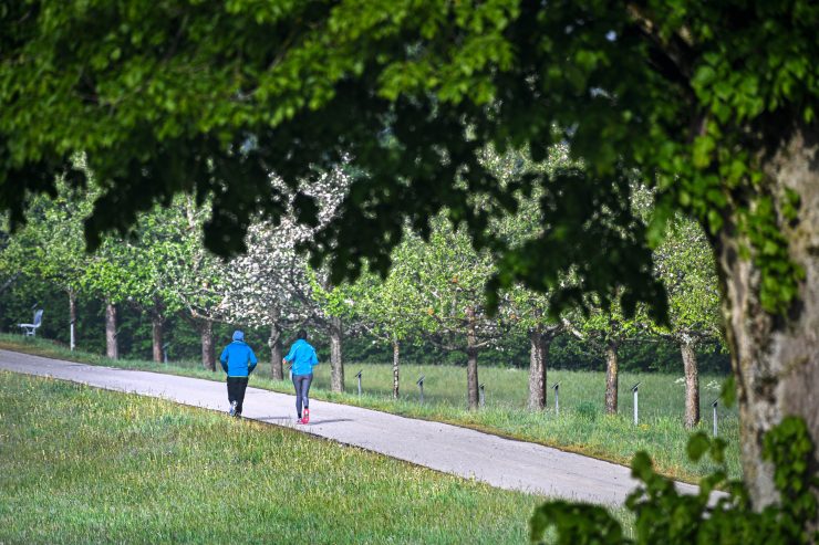 Gesundheit  / Wie man trotz einer Allergie Sport treiben kann