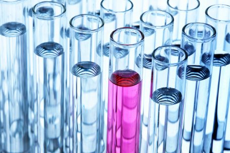 Gerichtsmedizin / In Österreich und Deutschland könnten viele Morde unentdeckt bleiben