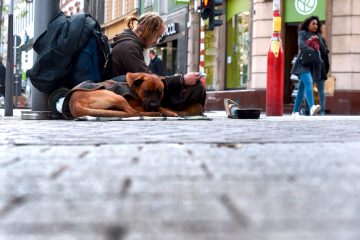 Kontroverse um „Stroossen-Englen“ / „Obdachlosen-Hilfe kommt nicht an“