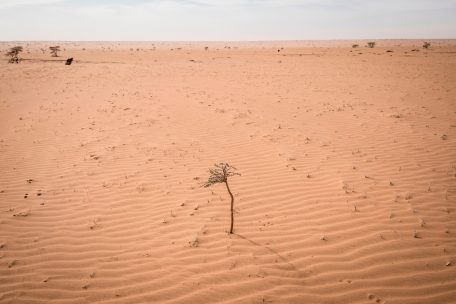 W&uuml;stenmeer als R&uuml;ckzugsort: Terrormilizen kontrollieren weite Teile der&nbsp; Sahara&nbsp;