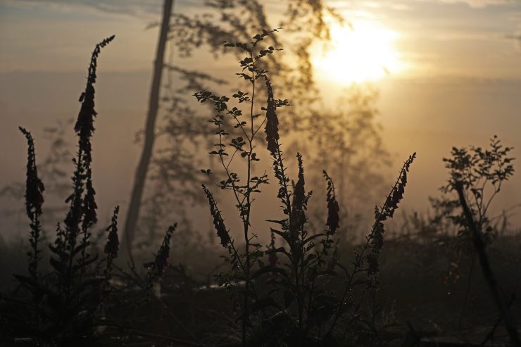 Weltraum / Um jede fünfte Sonne könnte eine Erde kreisen