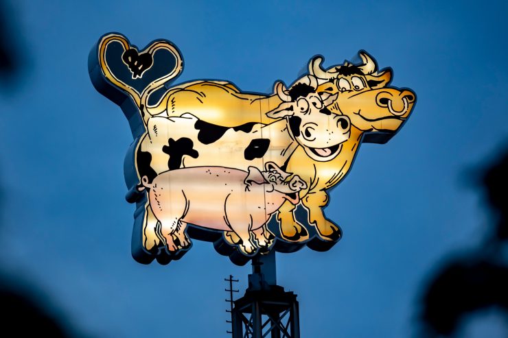 Coronavirus / In Deutschland gibt es viele Neuinfektionen – und der R-Wert steigt