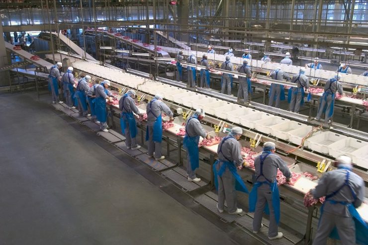 Fleischindustrie / Darum sind Dänemarks Schlachthöfe keine Corona-Schleudern – anders als in Deutschland