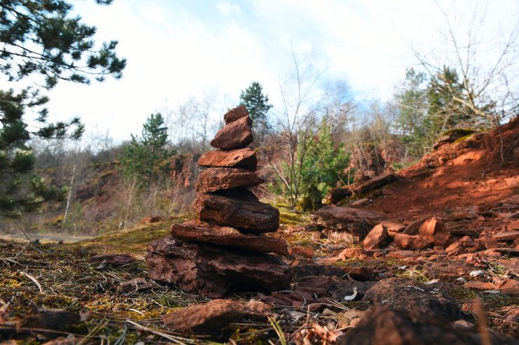 Publikation „Mutations“ / Die Südregion als Modellregion für nachhaltige Entwicklung