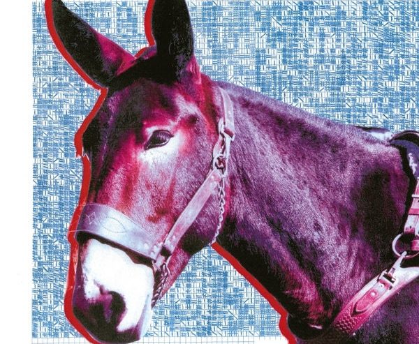 Klangwelten / Wild-Eyed Animals