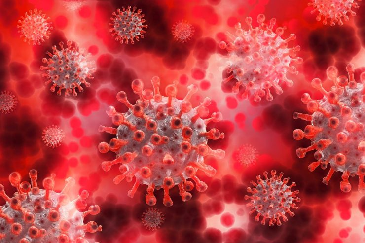 Coronazahlen / 31 Einwohner positiv auf das Coronavirus getestet