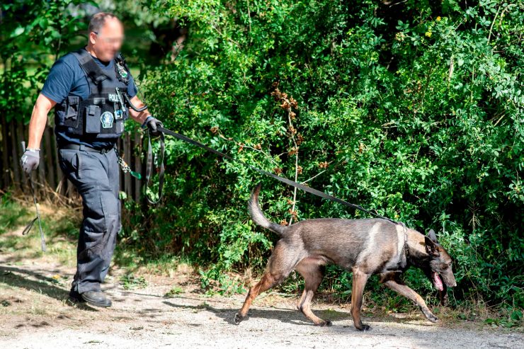 Seit 13 Jahren vermisst / Polizei setzt Durchsuchung von Kleingarten im Fall Maddie fort