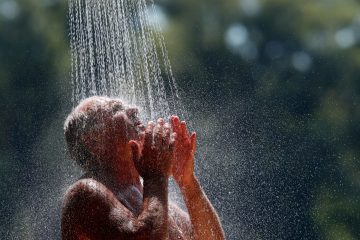 Sommerhitze / Hundeeis bis Hautschutz: Sieben Tipps für die heißen Tage