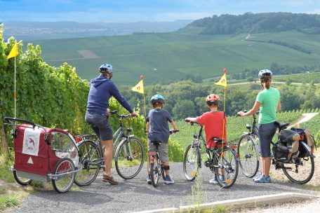 Die Aussicht genießen: Auf der „Jangeli“-Radstrecke zwischen Ellingen-Gare und Remich sind solche Panorama-Ausblicke zum Moseltal und auf die umliegenden Weinberge garantiert 