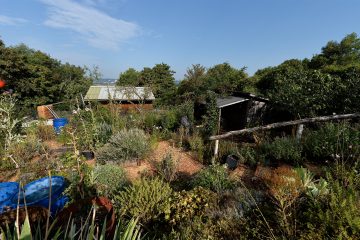 „So geht’s nicht weiter!“ / Schrebergärten auf dem „Gaalgebierg“ – Escher Gemeinde will sich stärker einmischen