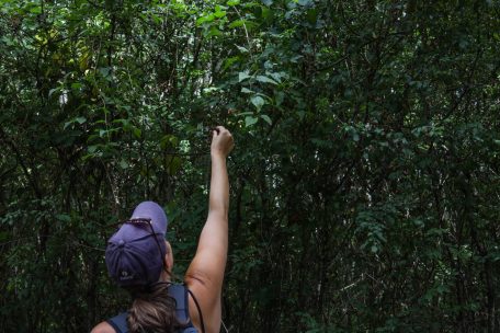 Beim Schlendern durch den Wald wurde dank Brombeeren auch der Geschmackssinn mit einbezogen