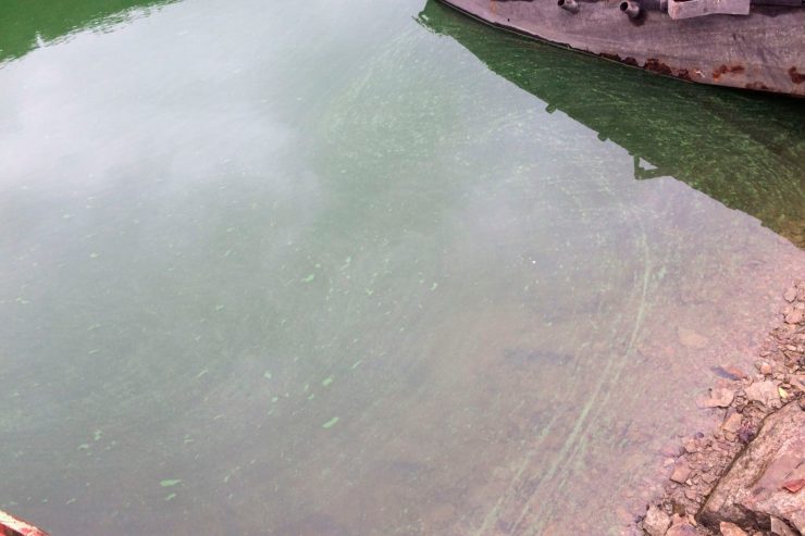 Stausee / Schluss mit dem Planschen an der „Rommwiss“: Strand muss wegen Blaualgen schließen