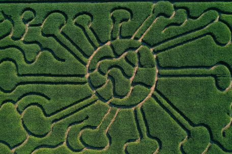 Deutschland / Analyse: Pandemiebekämpfung im Gewirr der Zuständigkeiten